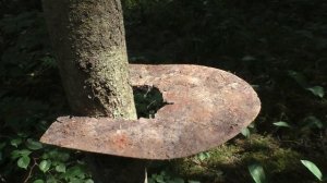 Понять minelab E trac   Какие звуки отклика копать  1 часть