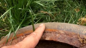 ЛУЧШИЕ НАХОДКИ КЛАДОИСКАТЕЛЯ 2020 Золото, чешуя, уделы, клад!