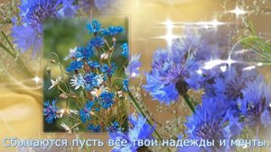 Букет из синих васильков