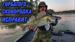 ГОРБАТОГО - СКОВОРОДКА ИСПРАВИТ !!! Рыбалка на Оби 2 августа 2024г.