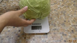 Ранняя капуста конической и круглой формы - обзор сортов | Как использовать раннюю капусту зимой