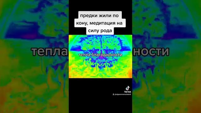 предки жили по кону, медитация силы рода смотреть онлайн