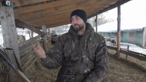 Залог успешной охоты на лису на приваде из засидки!