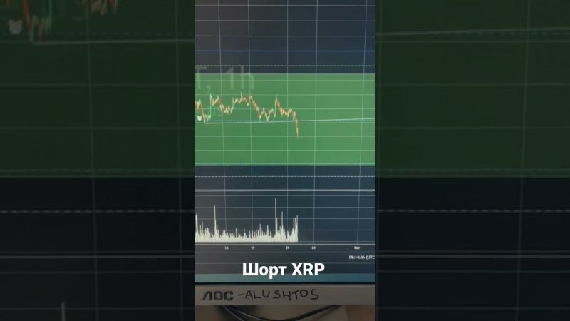 Шорт xrp