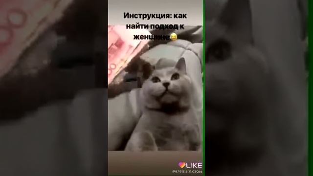 Лайфхак как найти подход к женщине