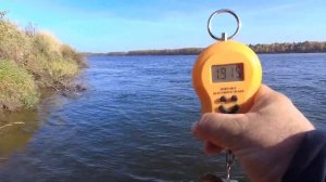 Рыбалка в дикий ветер, но рыба клюёт. р. Вятка.