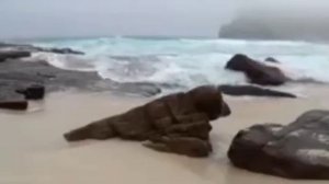 Дерек Принс о браке, разводе и повторном браке. Книга "Бог - автор брачных союзов"