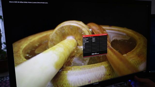 Recensione Monitor YASHI 28" 4K HDR YZ2815 Test Completo смотреть онлайн