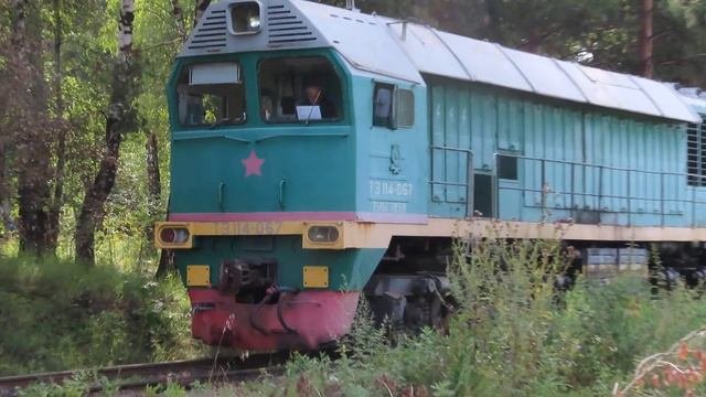 Тепловозы ТЭ114-067, ТЭМ2М-048, подъездно путь от станции Полотняный Завод МЖД 23.08.2020
