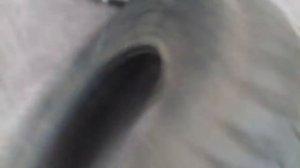 215 65 R16C 106T Michelin Agilis 51 France