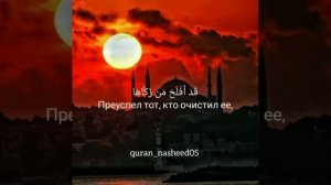 Чтец: Ахмад Ан-наджми Сура 91 Аш-Шамс (Солнце) Красивое чтение Кур'ана!