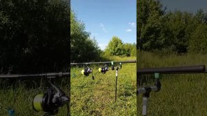 Рыбалка во Льгове 07.06.22