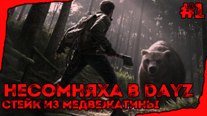 Несомняха DayZ и Винни Пух.