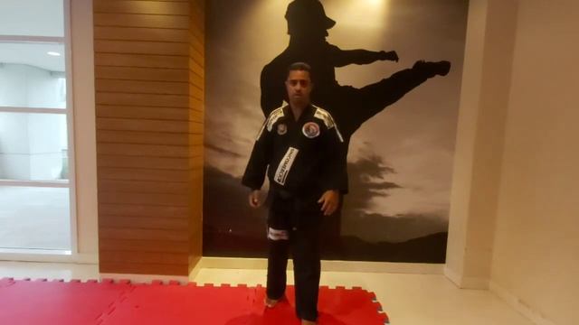 Aula de HapKido com, Soco com Troca de Base com Professor Jefinho Pacheco #35 смотреть онлайн