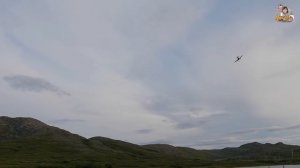 TOP RC A1 Sky Raider - A1 Sky Raider Flight Review