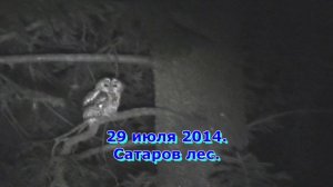 Весенняя песня