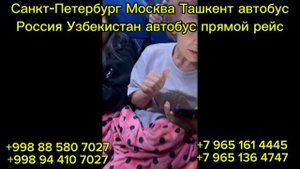 13-08-2024 Санкт-Петербург Москва Шымкент Ташкент Самарканд Худжанд автобус #москваташкентавтобус