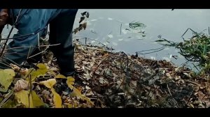 Как поймать много раков! Ловля раков в октябре.