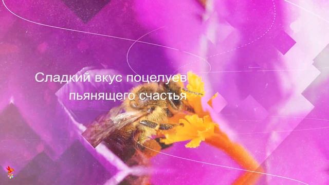 Я спешу в мир Весны...Стихи смотреть онлайн