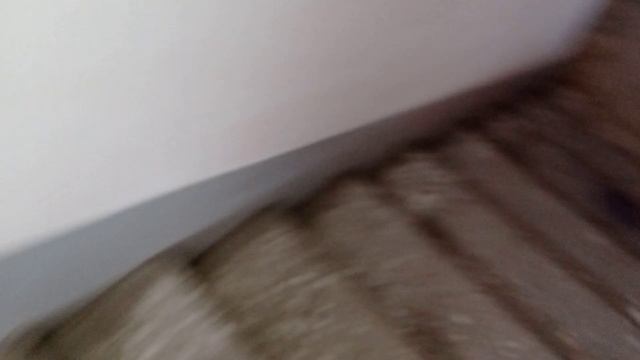 Лифт МК-Лифт, Г/П 400кг, V=1 м/сек (г. Полтава) смотреть онлайн