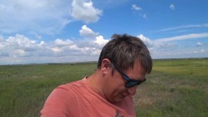 Грибная Разведка Полевые Шампиньоны Сбор Грибов в Чистом Поле Грибы 2021 Тихая Охота