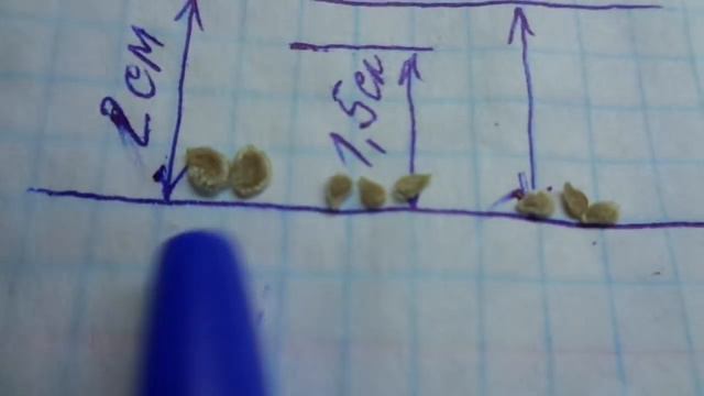 КАК ПОВЫСИТЬ ВСХОЖЕСТЬ СЕМЯН. Ольга Чернова 10 января. смотреть онлайн