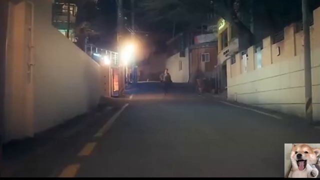【一口氣看完】愛情劇《半之半》音樂家倒追程序員！