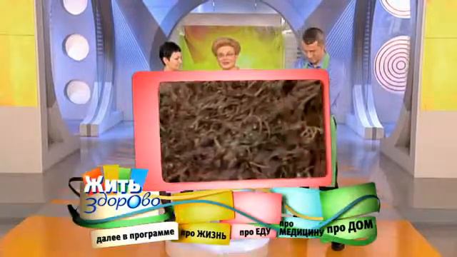 Программа «Жить Здорово» от 17 декабря 2012 г. смотреть онлайн