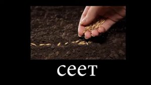 Мем Я сосу би бу  БиБУ | Мемасики | Мемы | Старые мемы | Ясос Биб | Прикольчик