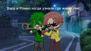 Вару и Ромео когда узнали где живёт пик: