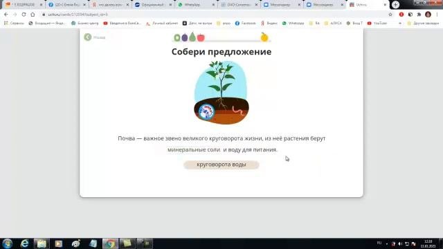 4 кл. Луговые и болотные почвы. Значение почвы. Почвы России. Природа. Окружающий мир. Ридель Алиса