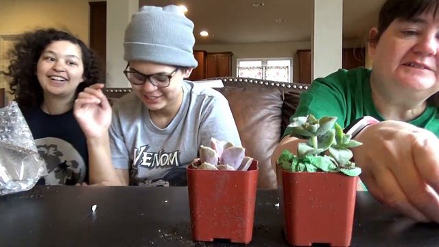 Succulents Box April 2019! смотреть онлайн