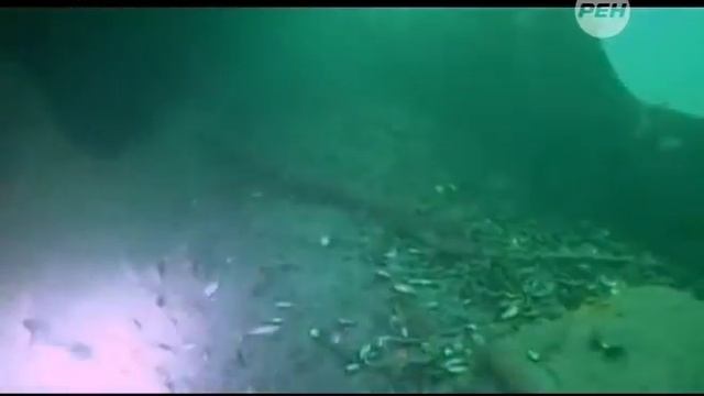 Русское оружие  Тополь М. Секретный репортаж