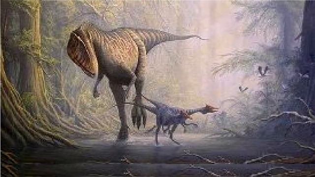Кархародонтозавр:история,открытия,факты