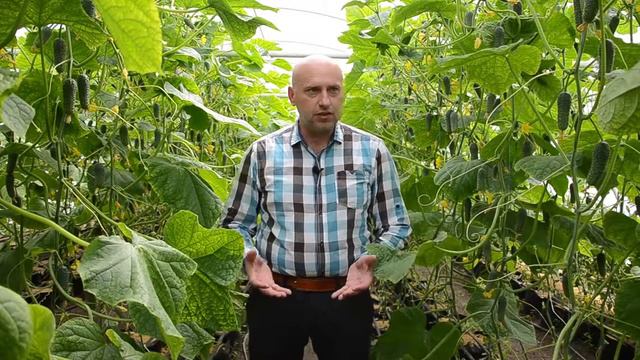 Анонс Арктика F1 смотреть онлайн