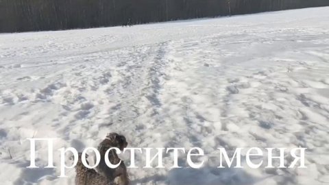 простите
