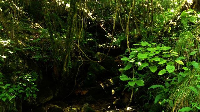 Cosmic Alfa / Ambient Music, Experimental Music смотреть онлайн