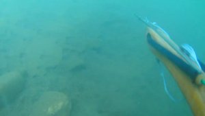 ПОДВОДНАЯ ОХОТА. В ГОРНОЙ РЕКЕ. ГОТОВЛЮ ГОЛАВЛЯ.В ЛОПУХЕ.