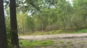 Караканский бор, лесная дорога