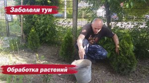 Обработка растений