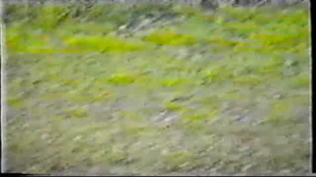 Эвенкия Тура 90-х годов )))) смотреть онлайн