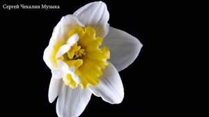 Сборник невероятно красивой, завораживающей музыки для души! Красивая музыка Сергей Чекалин