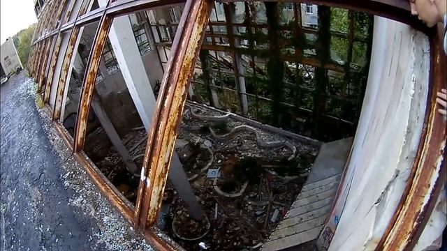 Зимний ботанический сад при детском саде "ДРУЖБА"... (URBAN - 24 серия)... смотреть онлайн