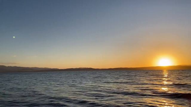 Riptide 🌞 - Voice Memo [Original Song] смотреть онлайн