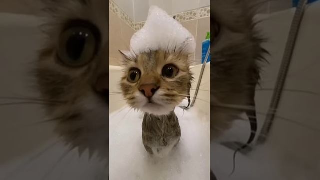 Riptide (speed up) смотреть онлайн