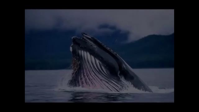 Урок 4 Сага об Ионе смотреть онлайн