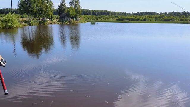 Рыбалка.Татьянин пруд. #карповаяловля #карп #рыбалка