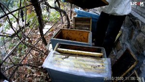 Правильная сборка гнезда пчелосемей гарантия 100% эимовки.