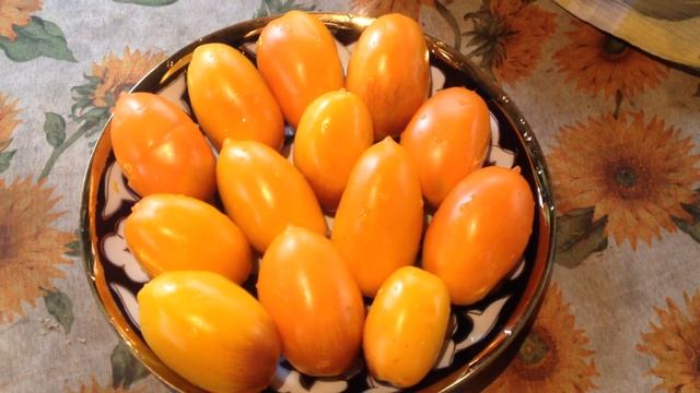 Обзор очень болезнеустойчивого томата с условным названием "Оранжевый подарок" смотреть онлайн