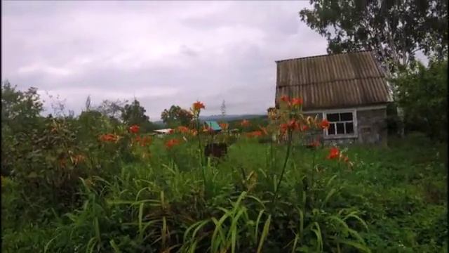 Море дача цветы смотреть онлайн